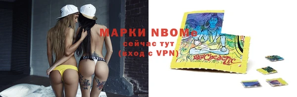 прущие грибы Алексеевка