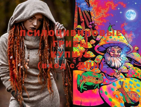 прущие грибы Алексеевка