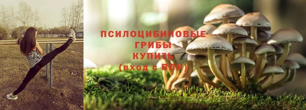 эйфоретик Алзамай